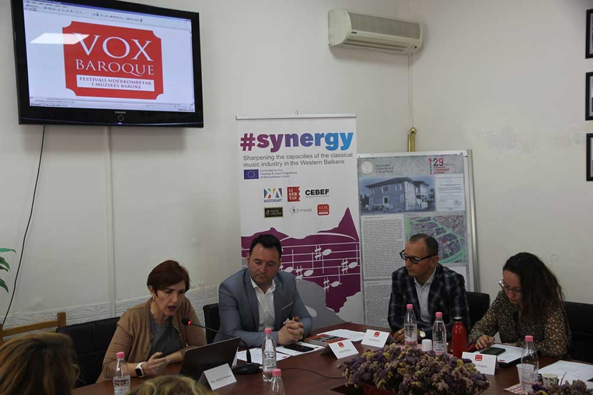 synergy radionica tirana 7.jpg