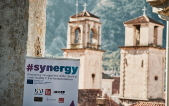 synergy-11-21-533 - c Dusko Miljanic.jpg