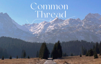 Common Thread.jpg