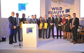 Wild Beauty Award.jpg