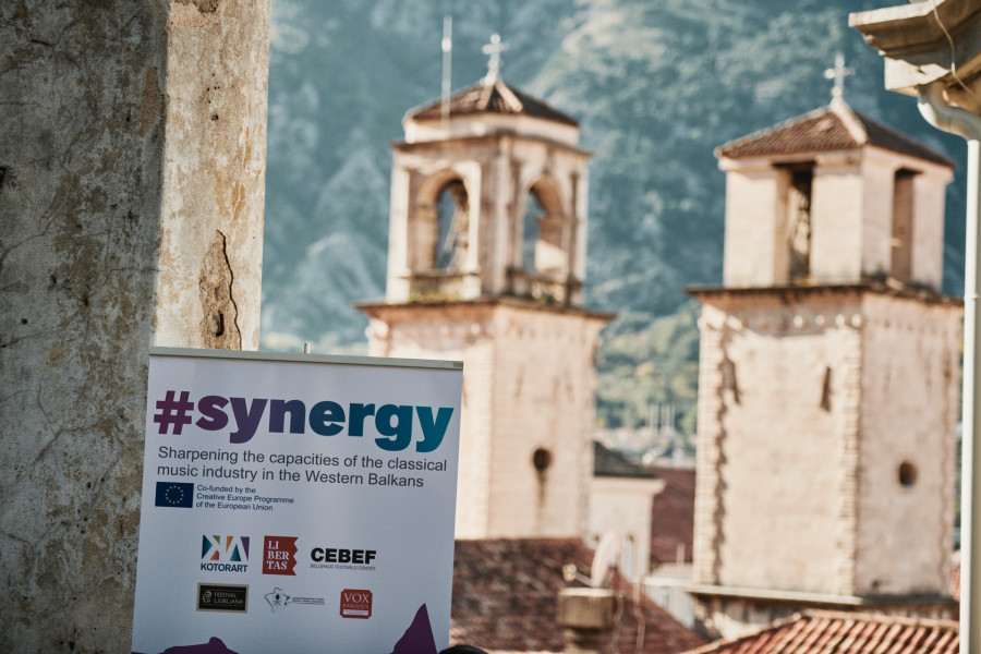 synergy-11-21-533 - c Dusko Miljanic.jpg