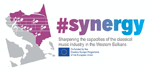 #synergy logo .png